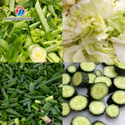 Pre Positioning Parsnip Potato Spiral Cutter Machine , Mango Fruit Pulp Processing Machine