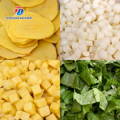 Pre Positioning Parsnip Potato Spiral Cutter Machine , Mango Fruit Pulp Processing Machine