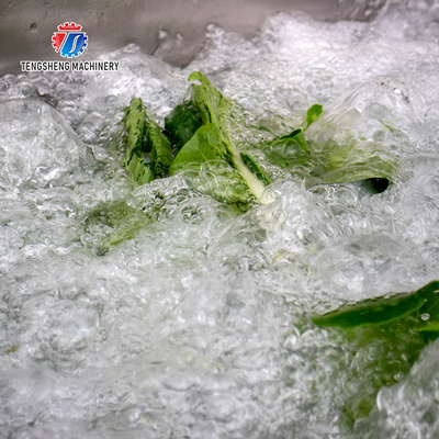 150KG Commercial fruit and vegetable washing machine large bubble washing machine spinach lettuce washing machine