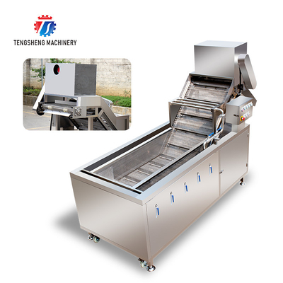 2.6KW Multi-functional fruit and vegetable bubble cleaning machine vegetable food cleaning equipment