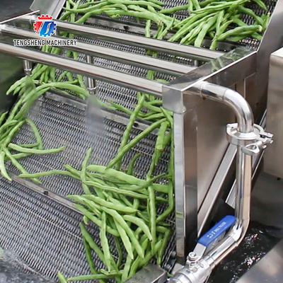 2.6KW Multi-functional fruit and vegetable bubble cleaning machine vegetable food cleaning equipment