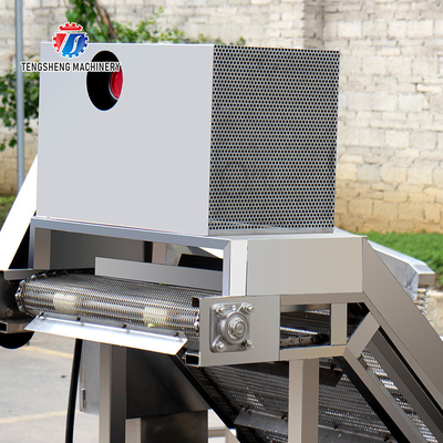 2.6KW Multi-functional fruit and vegetable bubble cleaning machine vegetable food cleaning equipment