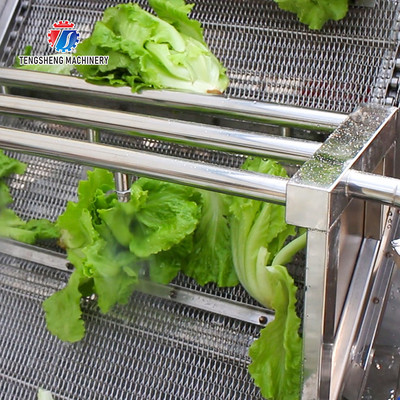 2.6KW Multi-functional fruit and vegetable bubble cleaning machine vegetable food cleaning equipment