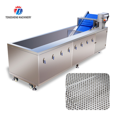 240KG Coriander Dandelions Vegetable Washing Line , ozone generator Fruit And Vegetable Cleaner Machine