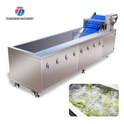 240KG Coriander Dandelions Vegetable Washing Line , ozone generator Fruit And Vegetable Cleaner Machine