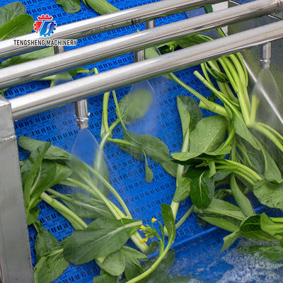 240KG Coriander Dandelions Vegetable Washing Line , ozone generator Fruit And Vegetable Cleaner Machine
