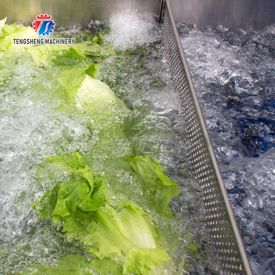 240KG Coriander Dandelions Vegetable Washing Line , ozone generator Fruit And Vegetable Cleaner Machine