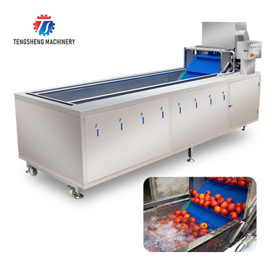 240KG Multifunctional commercial sterilizing and washing machine factory direct fruit and vegetable bubble cleaning