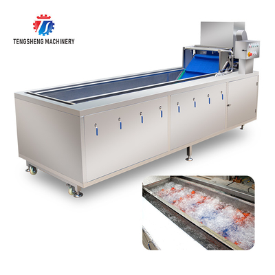 240KG Multifunctional commercial sterilizing and washing machine factory direct fruit and vegetable bubble cleaning