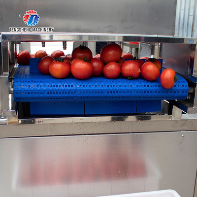 240KG Multifunctional commercial sterilizing and washing machine factory direct fruit and vegetable bubble cleaning