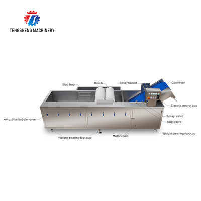 250KG Fruit and vegetable washing machine automatic sterilization washing machine fruit and vegetable processing