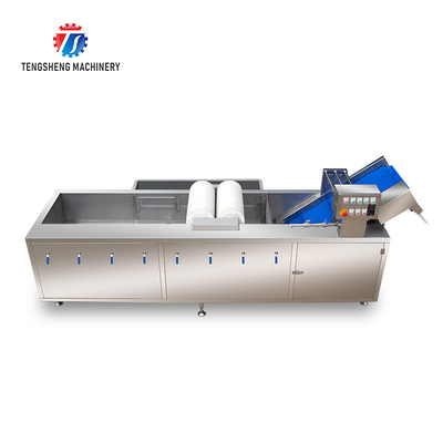 250KG Fruit and vegetable washing machine automatic sterilization washing machine fruit and vegetable processing