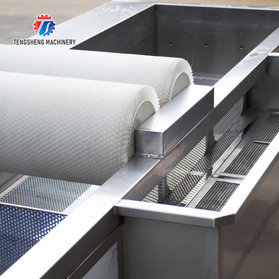 250KG Fruit and vegetable washing machine automatic sterilization washing machine fruit and vegetable processing