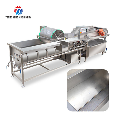 1000KG/H Automatic eddy current washing machine Fruit and vegetable vortex bubble cleaning vibration drainer