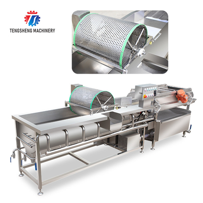 1000KG/H Automatic eddy current washing machine Fruit and vegetable vortex bubble cleaning vibration drainer