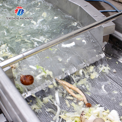 1000KG/H Automatic eddy current washing machine Fruit and vegetable vortex bubble cleaning vibration drainer