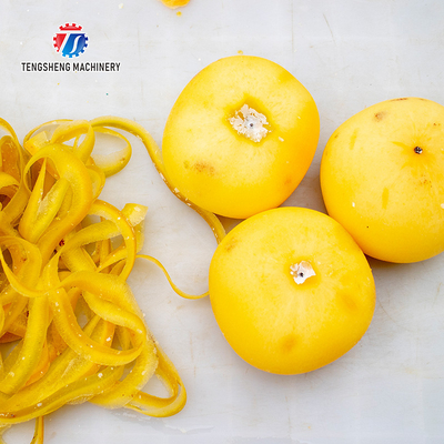 220V  Multi-function electric fruit peel machine persimmon peel peel machine fruit peel machine
