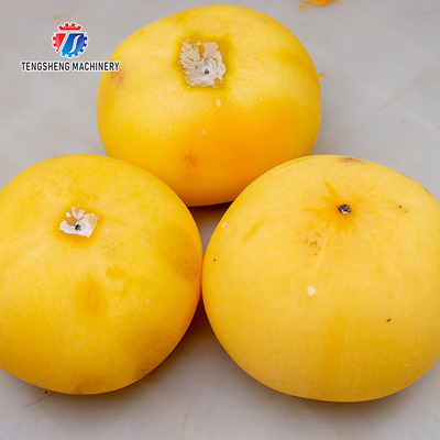 220V  Multi-function electric fruit peel machine persimmon peel peel machine fruit peel machine