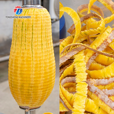 1.0KW 90KG Factory direct small single - head peeler commercial pineapple papaya taro peeling peeling equipment