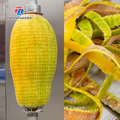 1.0KW 90KG Multi-function small fruit and fruit peeler stainless steel commercial fruit single head peeler
