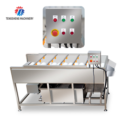 2.5KW Can be grouped line potato eggplant washing machine tomato parallel brush washing machine
