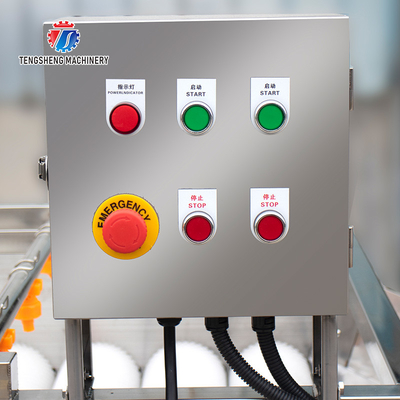 2.5KW Can be grouped line potato eggplant washing machine tomato parallel brush washing machine