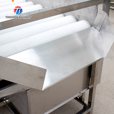 2.5KW Can be grouped line potato eggplant washing machine tomato parallel brush washing machine