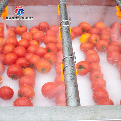 2.5KW Potato flat roller cleaning equipment seafood cleaning machine potato cleaning machine equipment