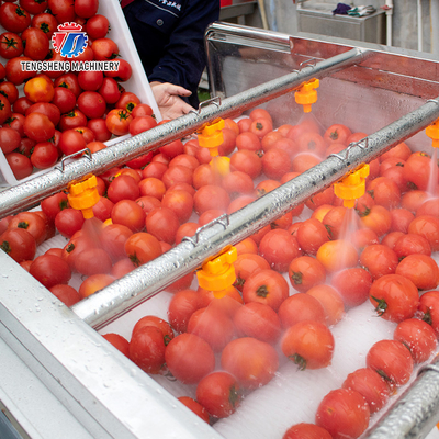 2.5KW Can be grouped line potato eggplant washing machine tomato parallel brush washing machine