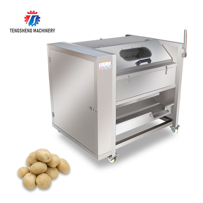 180KG Manufacturers R & D large, medium and small brush cleaning machine automatic sea cucumber cleaning machine