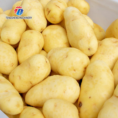 180KG Small automatic ginger washing machine Cassava peeling machine sweet potato potato peeling equipment