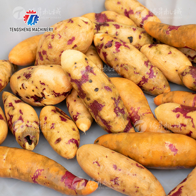 180KG Small automatic ginger washing machine potato cleaning and peeling machine ginger cleaning and mud removal machine