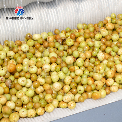 180KG Small automatic ginger washing machine potato cleaning and peeling machine ginger cleaning and mud removal machine
