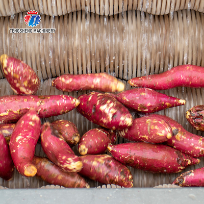 180KG Small automatic ginger washing machine Cassava peeling machine sweet potato potato peeling equipment