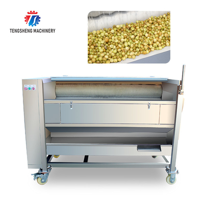 250KG 380V Carrot brush cleaning and peeling machine brush cleaning machine potato peeling machine