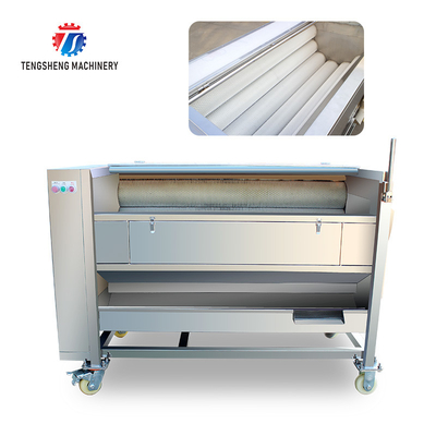 250KG 380V Carrot brush cleaning and peeling machine brush cleaning machine potato peeling machine