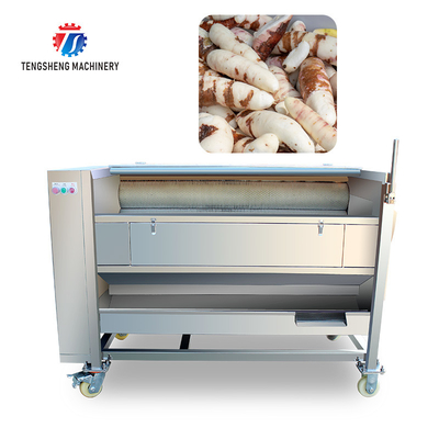Hair Stick Peeling Cleaning Machine Brush Type Ginger Cleaning Machine for Potato