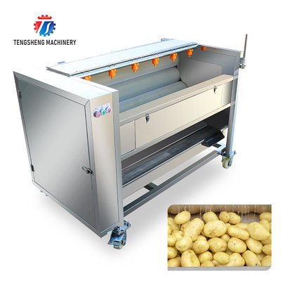 Multi Functional Fruit Washing Machine Medium Sized Lotus Root Washing Radish Machine