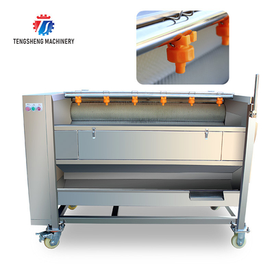 Multi Functional Fruit Washing Machine Medium Sized Lotus Root Washing Radish Machine