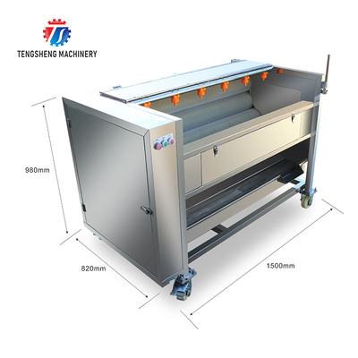 Potato cleaning peeling machine taro peeling machine multi-functional horseshoe hair roller cleaning machine