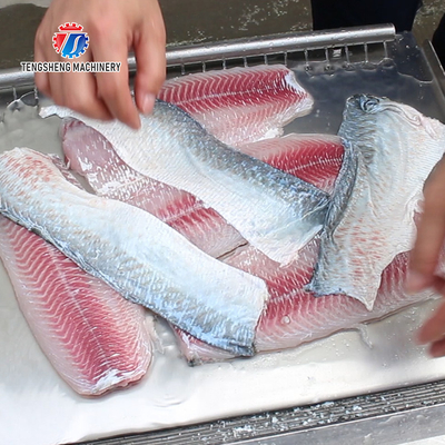 30pcs/min Fish Processing Machine Squid Cuttlefish Skin Peeler