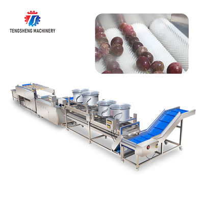 Fruit and vegetable brush bubblecleaning and drying production line Fruit Vegetable FOOD processing production Machine