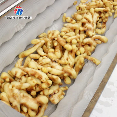 Brush bubble cleaning, drying, selection and cutting production line