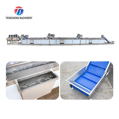Pineapple bubble washing and vibrating air-drying line Fruit Vegetable FOOD processing production Machine