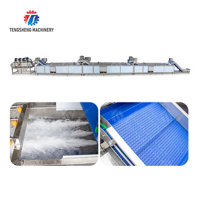 Pineapple bubble washing and vibrating air-drying line Fruit Vegetable FOOD processing production Machine