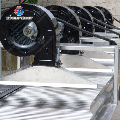 Fruits cleaning and drying production line Fruit Vegetable FOOD processing production Machine