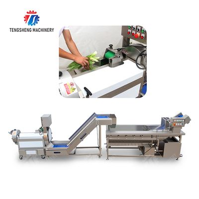 Double head cutting-hoisting-vortex washing production line Fruit Vegetable FOOD processing production Machine