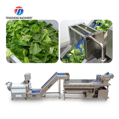 Double head cutting-hoisting-vortex washing production line Fruit Vegetable FOOD processing production Machine