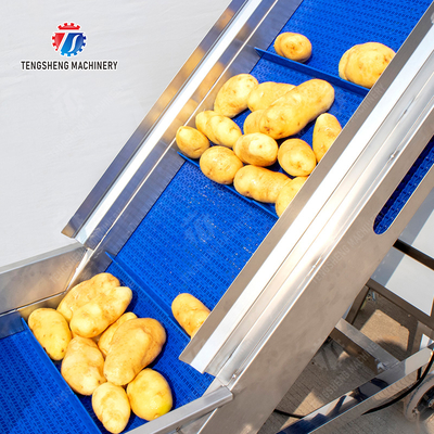 Roller washing and cutting production line Fruit Vegetable FOOD processing production Machine