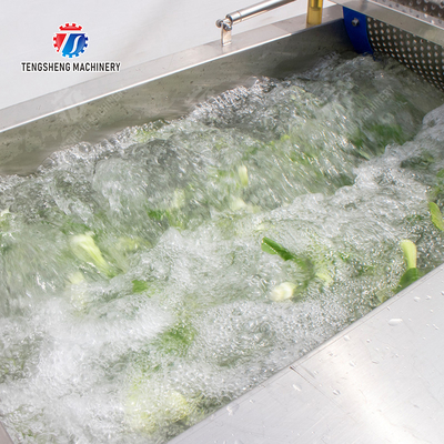 Bubble washing vibration air drying production line Orange Vegetable Herbs Fruit processing production Machine